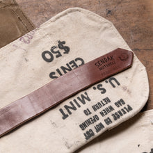Sendak Nutshell with 1970s US Mint Bank Bags