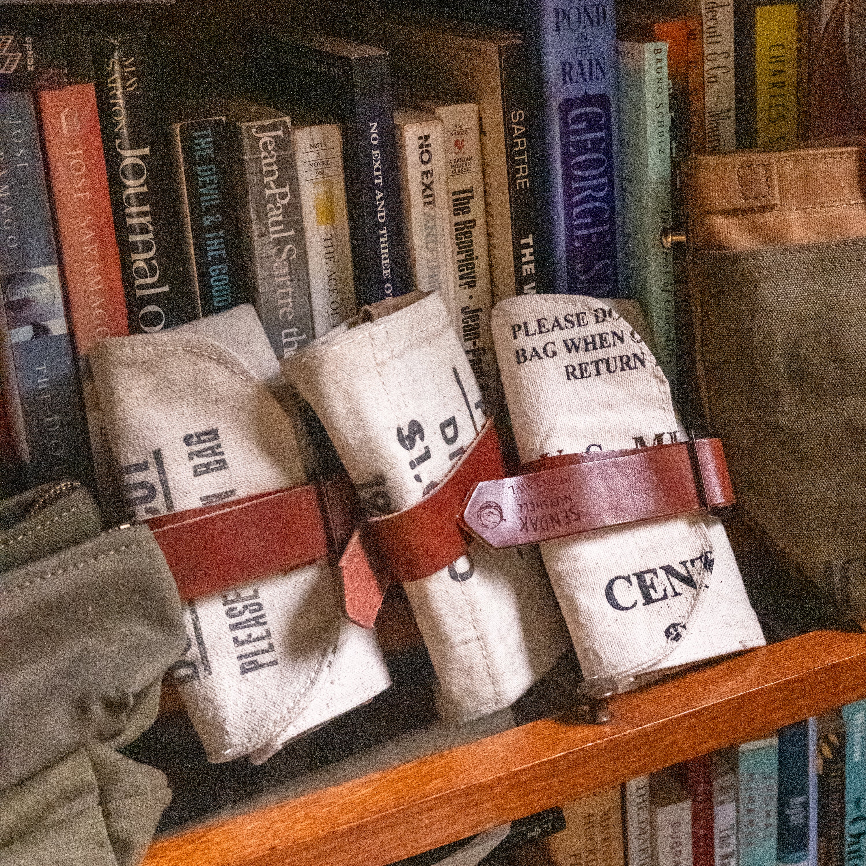 Sendak Nutshell with 1970s US Mint Bank Bags