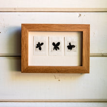 “Three Violets” Tetra Pak Print