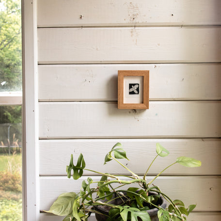 “Trillium No. 2” Tetra Pak Print