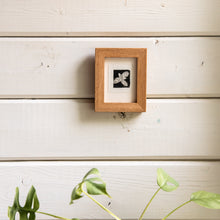 “Trillium No. 2” Tetra Pak Print