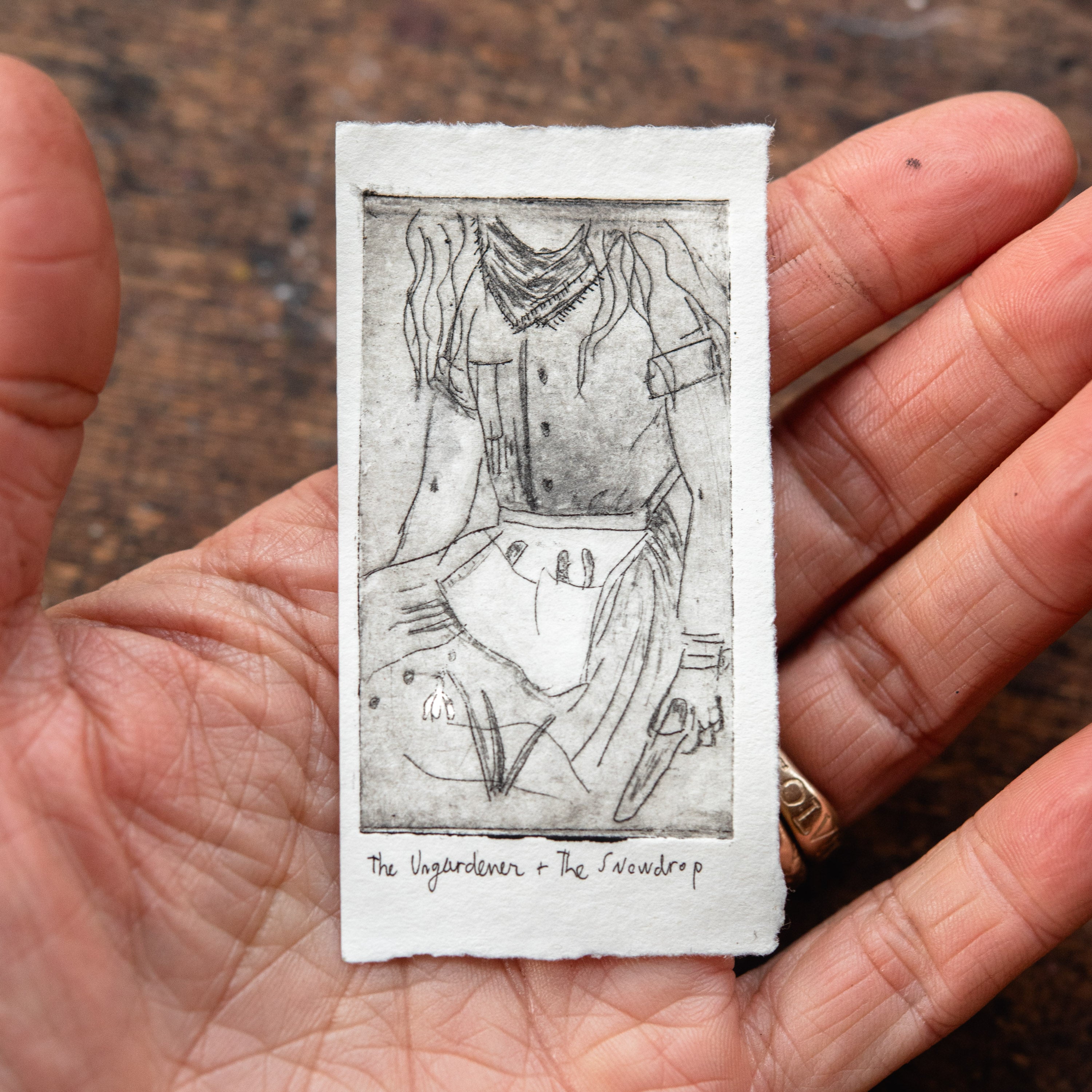 “The Ungardener and The Snowdrop” Tetra Pak Print