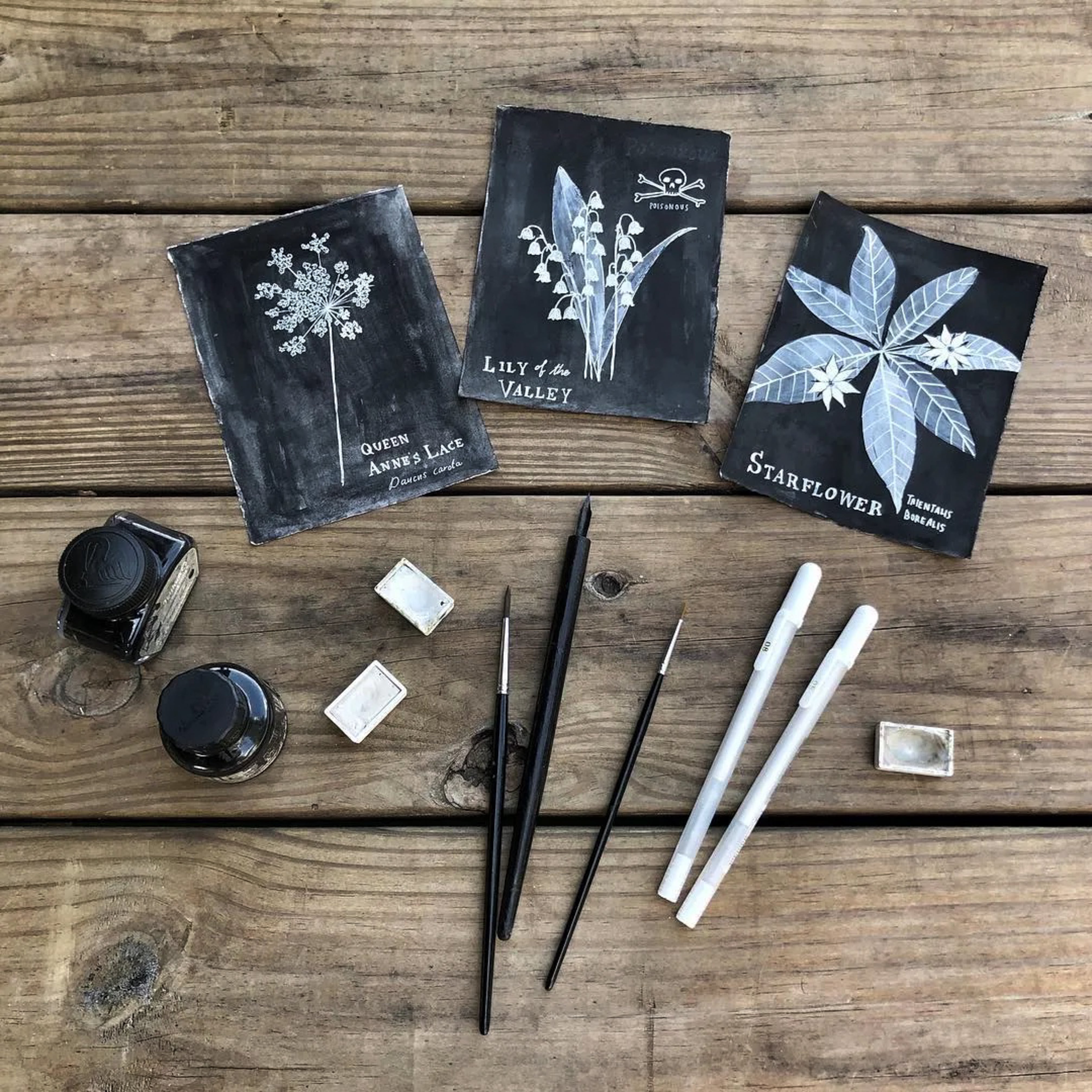 Botanical Art Print: Marshmallow